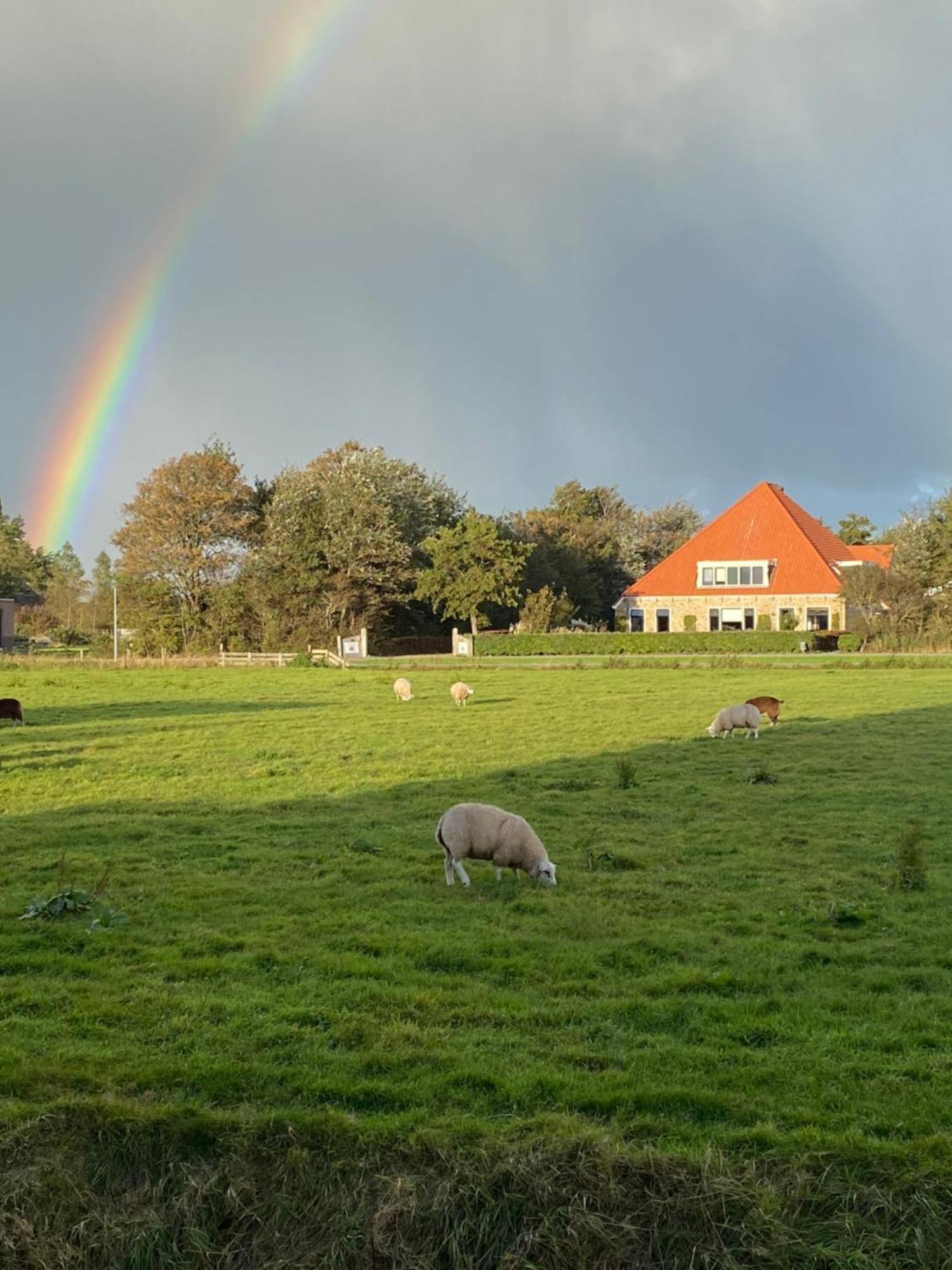 Oomes Huus Haestens And Koffie Den Hoorn  Exterior foto